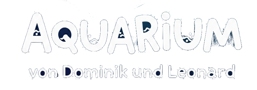 Aquarium von Dominik und Leonard